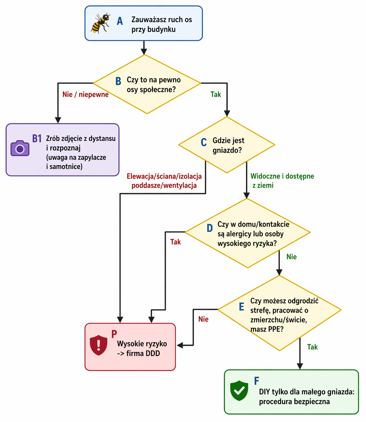 Zarządzanie zagrożeniem osami przy budynku